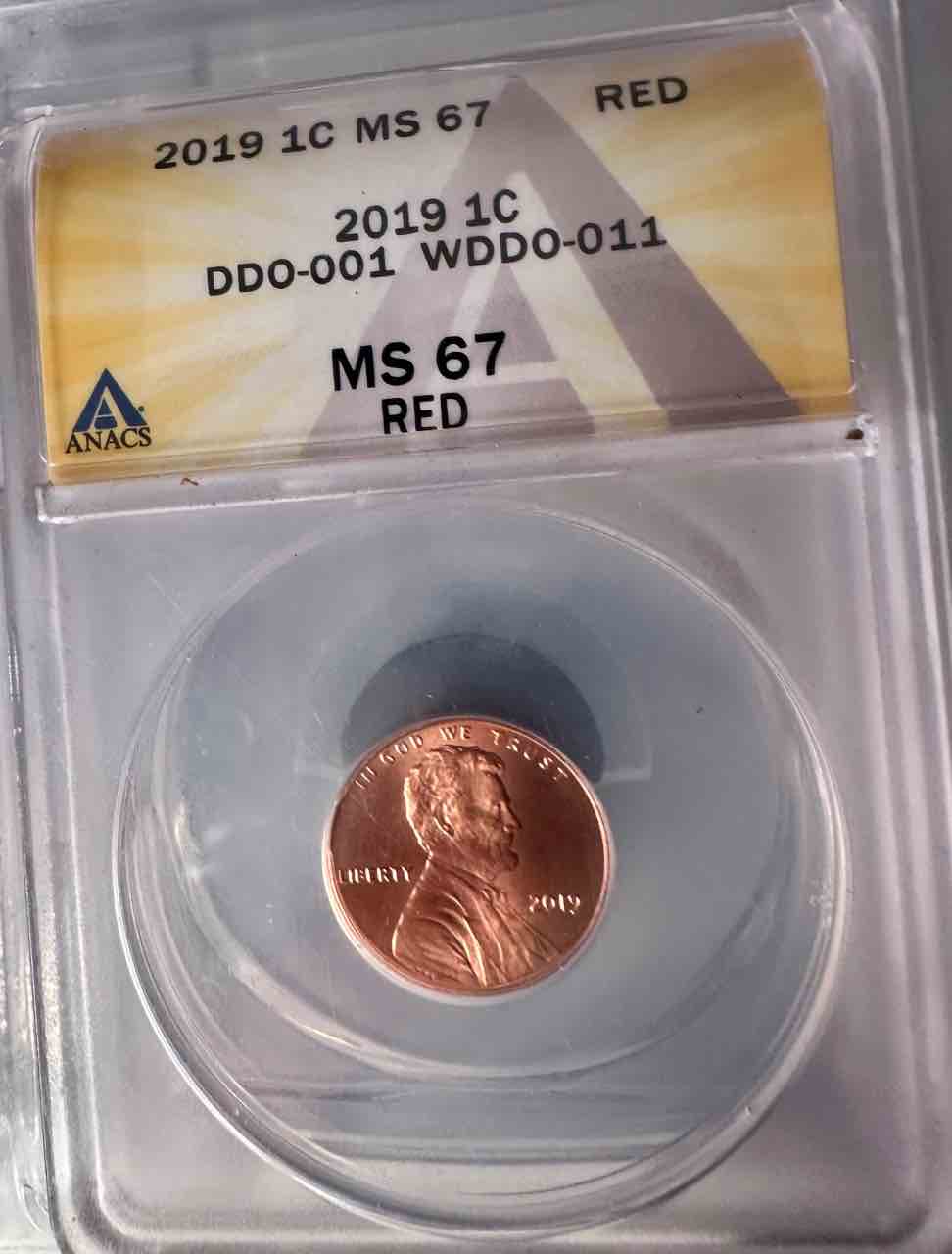 2019-Penny-With-WDDO-011---2nd-One-Found