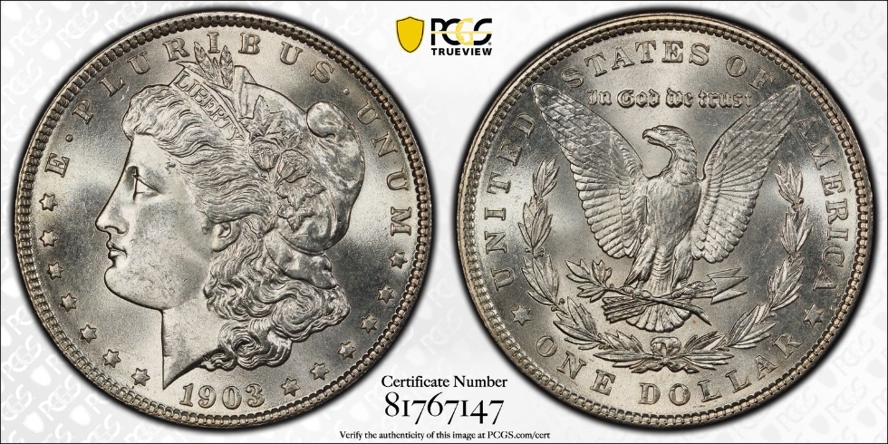 28-Days-Of-The-Morgan-Dollars-Part-5