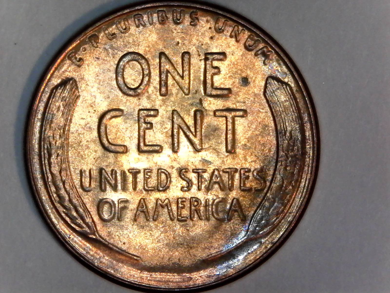 1929-S-Lincoln-Wheat-Cent-For-Grading