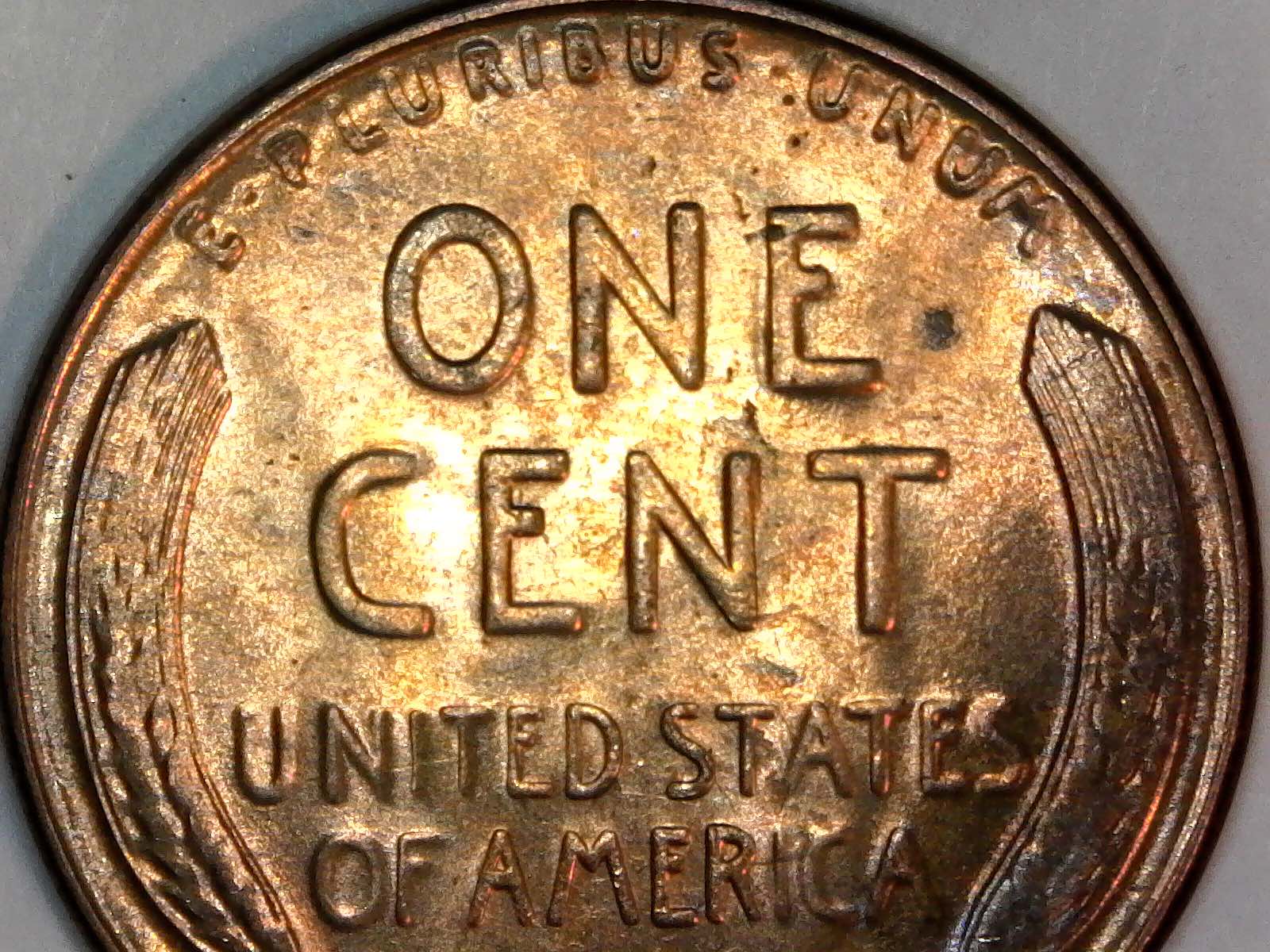 1929-S-Lincoln-Wheat-Cent-For-Grading