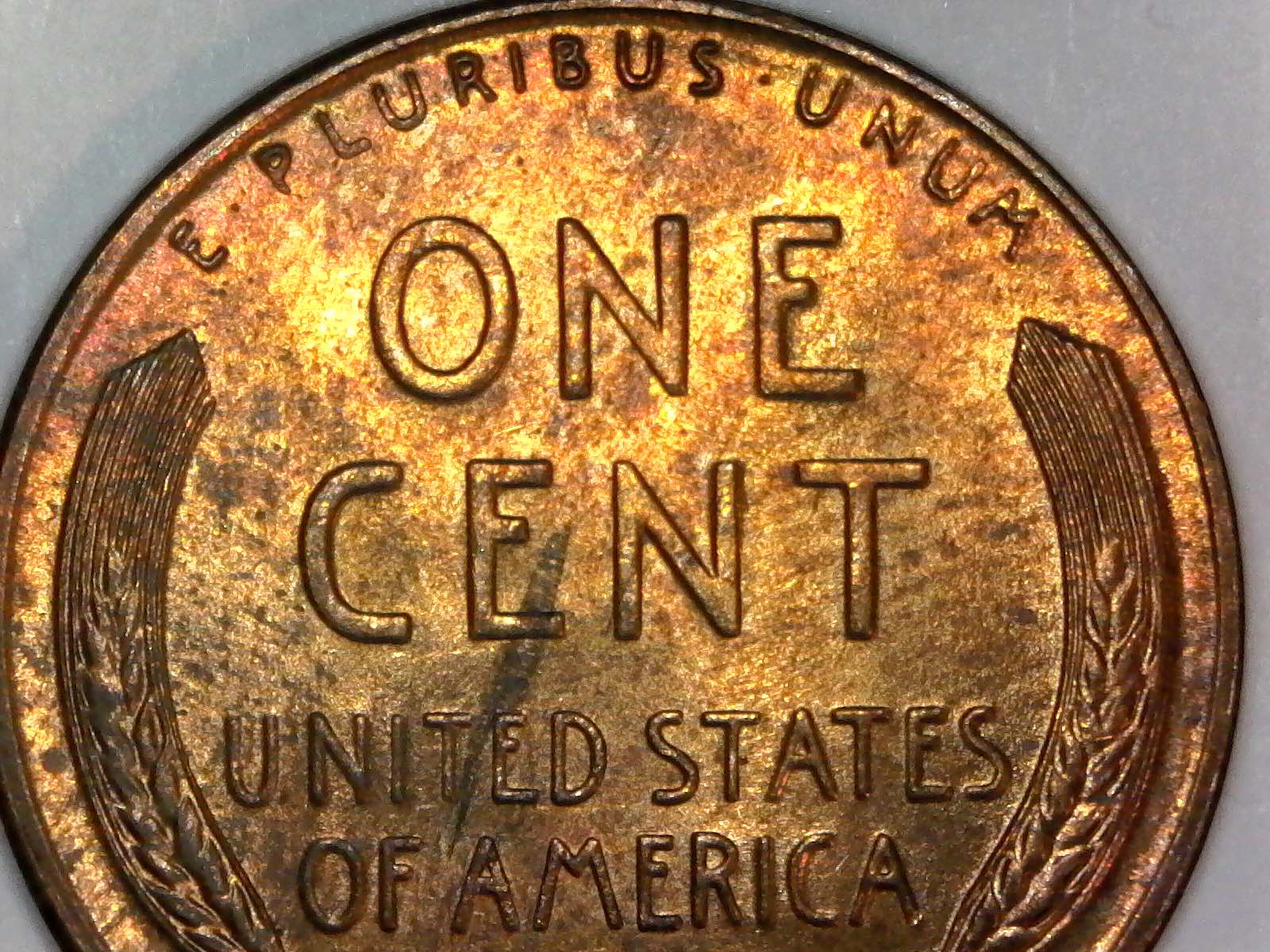 1946-S-Lincoln-Wheat-Cent-For-Grading