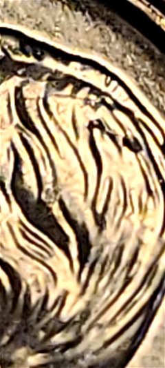 2021-Dime-Pin-Head-And-Other-Errors