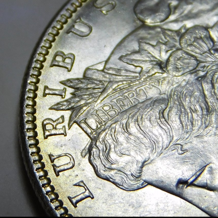 Grade-My-First-Morgan-1896-New-Pictures