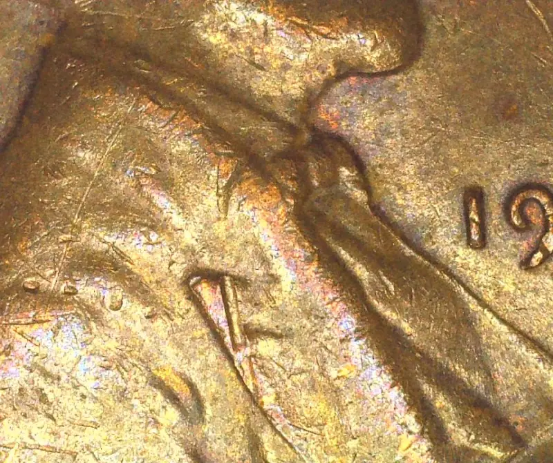 1955-Lincoln-Wheat-Cent.-Another-What-Is-This?