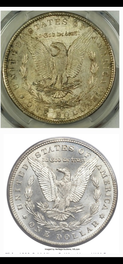 Do-You-Think-This-1899-Morgan-Is-A-Micro-O?