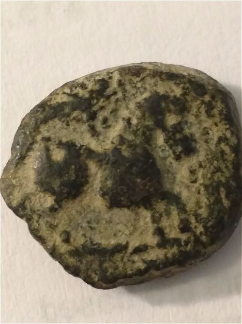 Need-Help-Iding-Greek-Horse-Coin