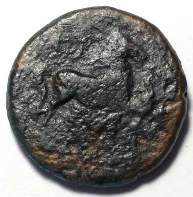 Greek-Coin---Help-With-ID-Please-: