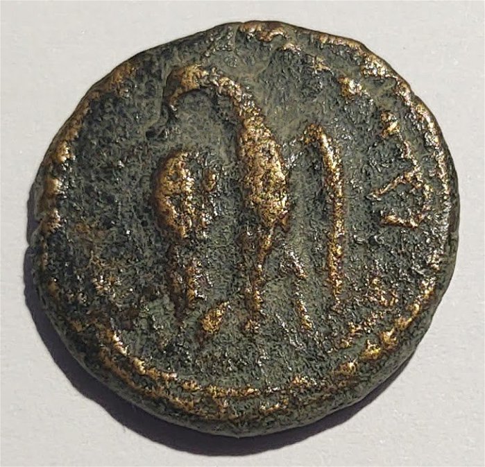 Small-Greek-Coin-12mm---Bronze-Color-W/Eagle