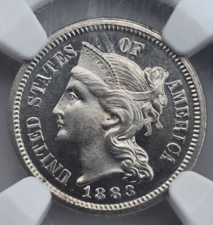 PVC-Or-Just-Inactive-Spotting-On-Straight-Graded-PF65+-Cam-3-Cent-Nickel?
