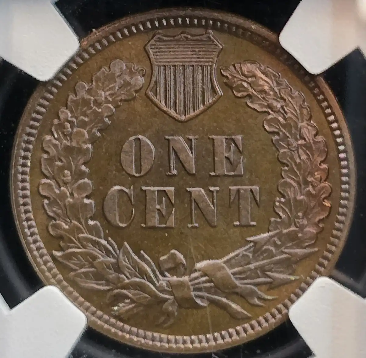 Progression-Of-My-1883-Proof-Set-No-Gold