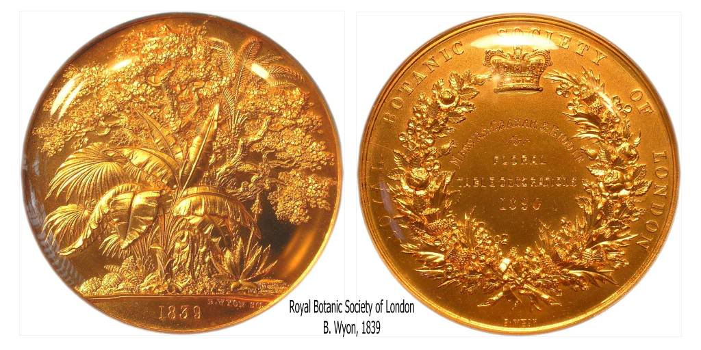 Post-Your-Coin-Or-Medal-With-Flora