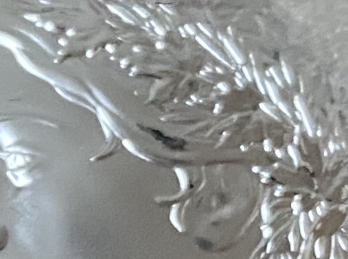 2020-Peace-Dollar-Corrosion