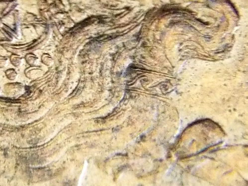 Would-You-Consider-This-1884-Vicky-Cent-A-Double-Die?