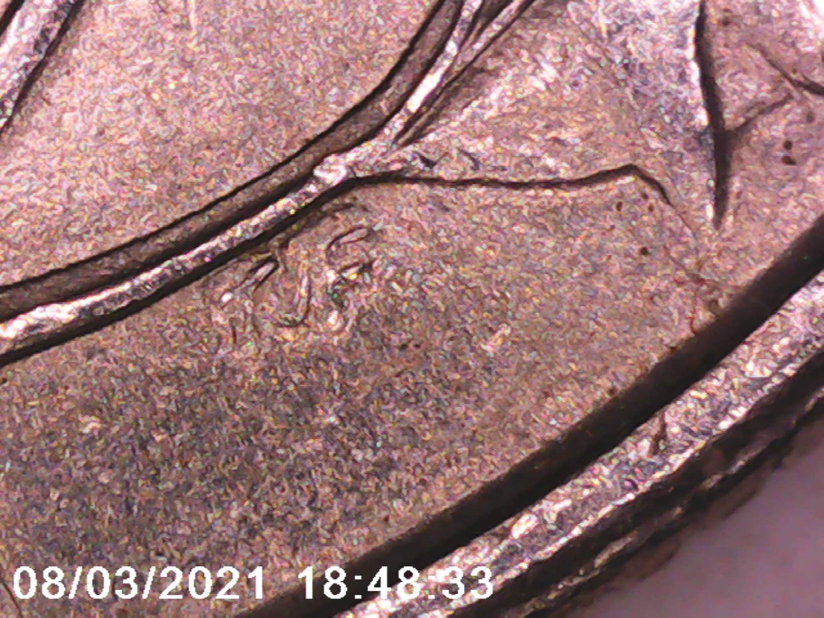 1999-P-Georgia-State-Quarter-Errors?