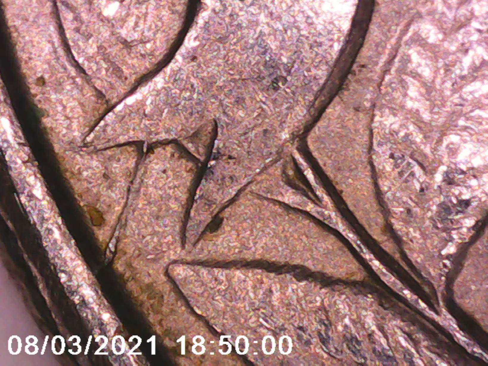 1999-P-Georgia-State-Quarter-Errors?