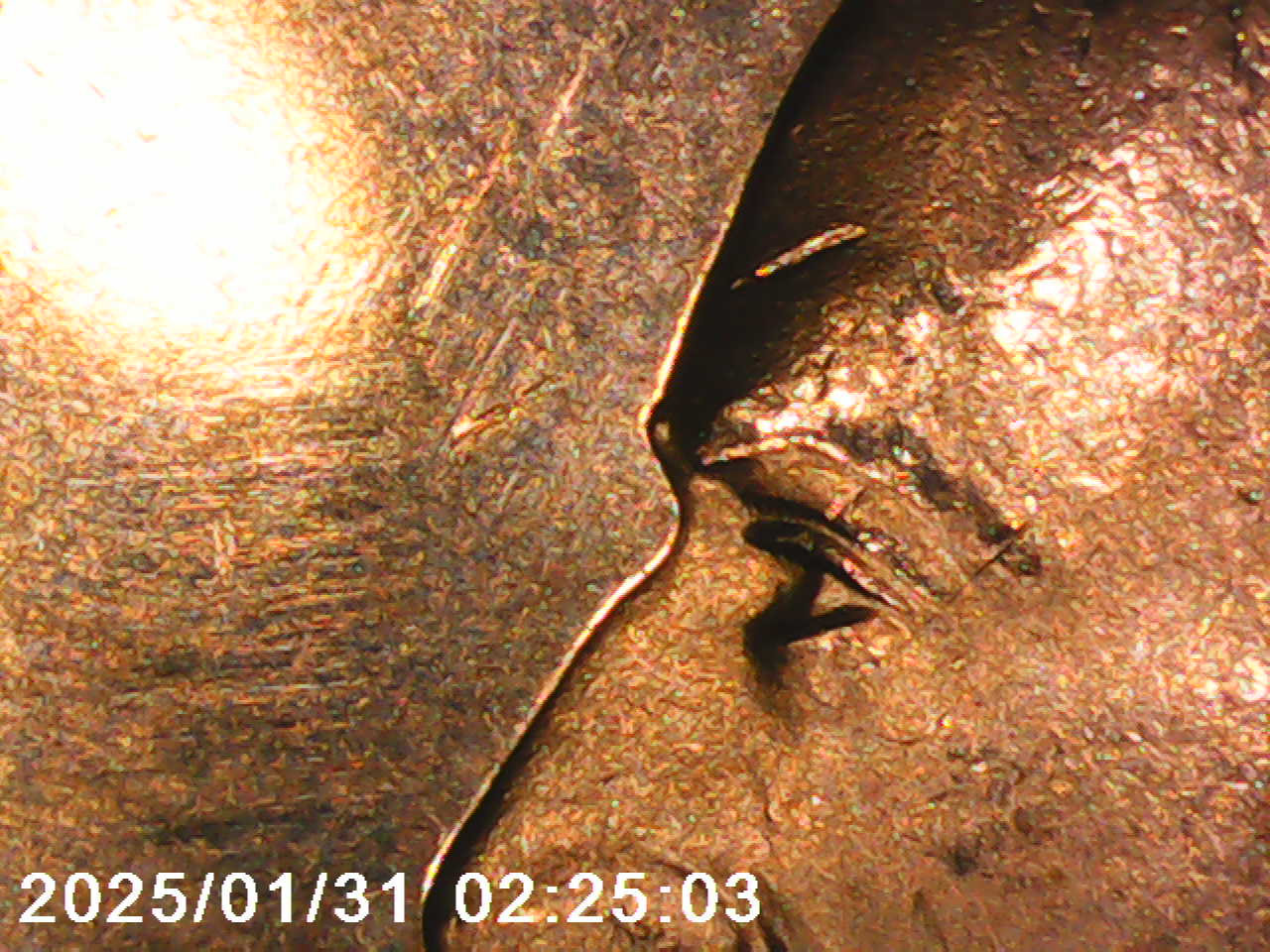 Free-For-You-Readers-Digest-Presidential-Coins---Variety/Errors-Or-No,-Opinions-Please.