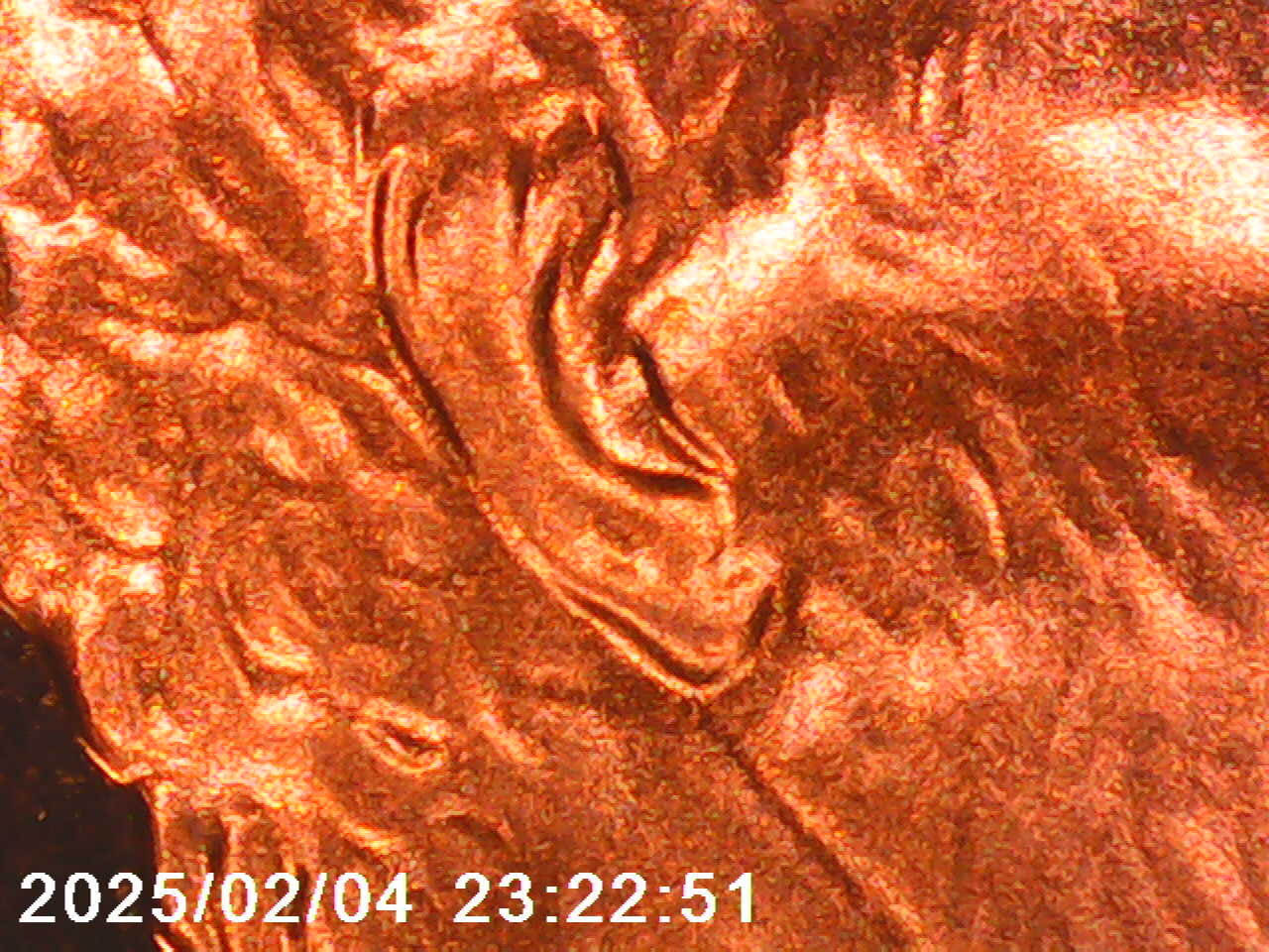 1999-S-Proof-Coin-Set-Clad-Error-Maybe-Doubled