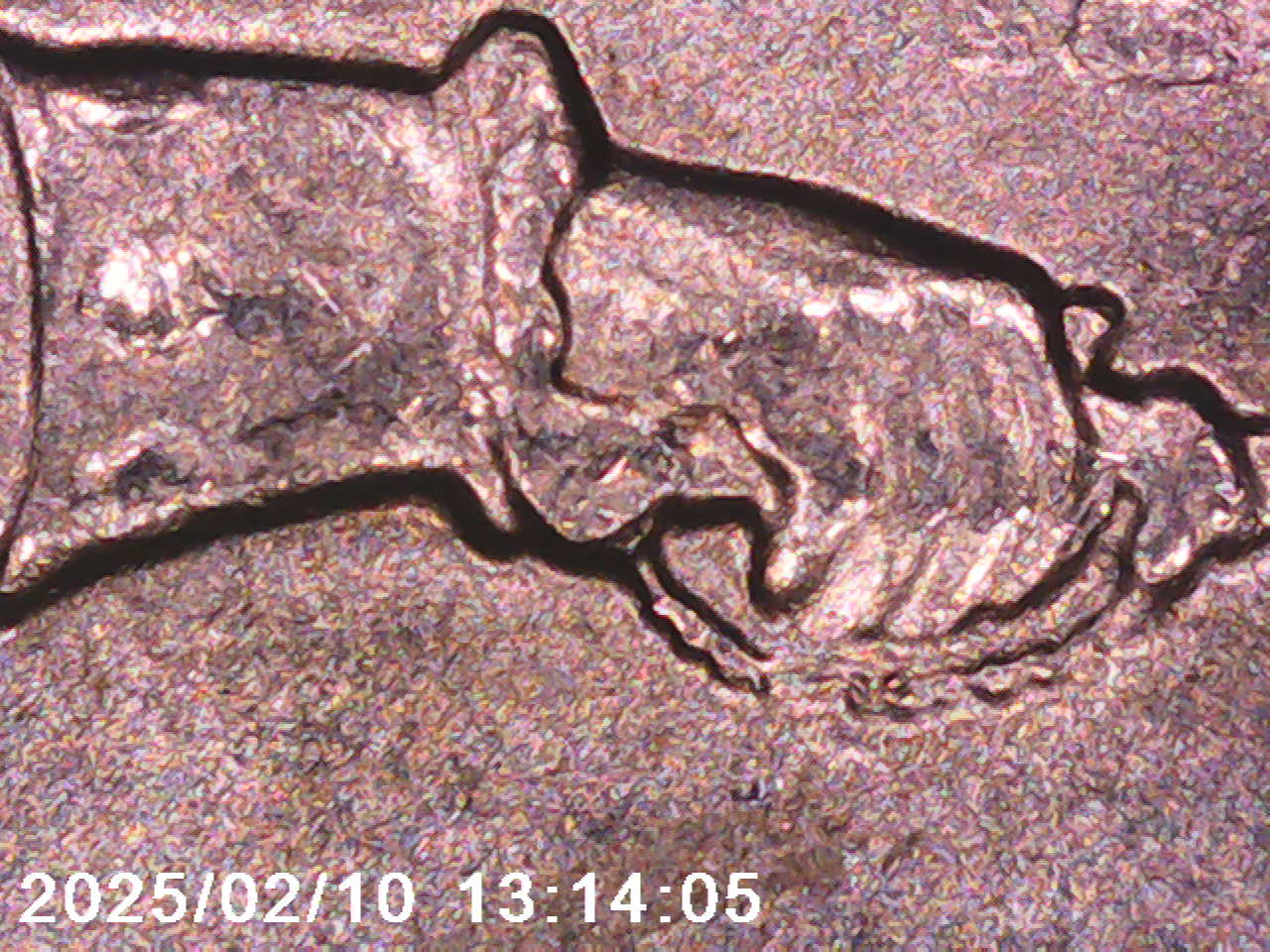 Have-Two-2021-P-Quarter-Crossing-The-Delaware---Cracked-Sword-W/-Doubled-Date-|-DDR-W/-Doubled-Date