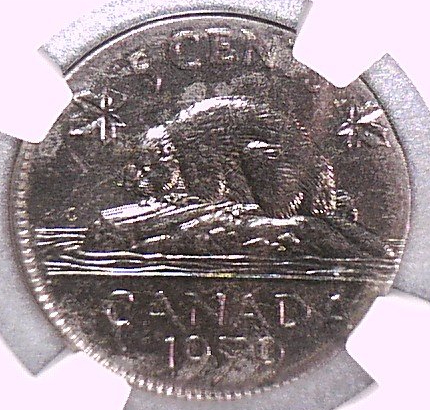 Country-Of-The-Day:-Bangladesh,-1980-Canada-Cent-Struck-On-A-1980-Bangladesh-25-Poisha-NGC-MS-67