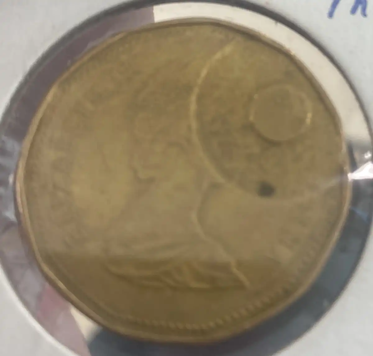 Loon-$-Struck-Through-Round-Washer