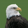 jim61's Avatar