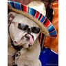 kcaven's Avatar