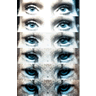 Shellioness1's Avatar