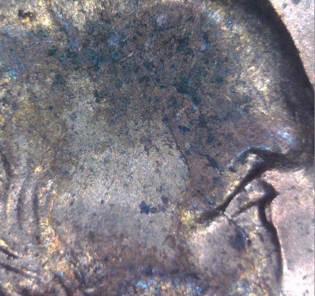 Some-Bank-Roll-Finds.