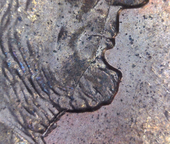 Some-Bank-Roll-Finds.