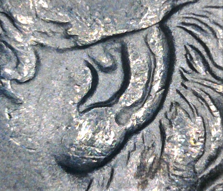 Bought-A-Short-Roll-Of-BU-Random-Morgans.