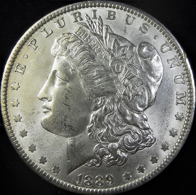 Bought-A-Short-Roll-Of-BU-Random-Morgans.
