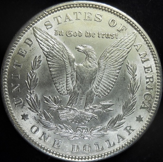 Bought-A-Short-Roll-Of-BU-Random-Morgans.