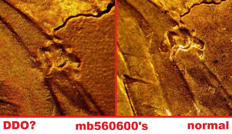 2017-P-LSC/-Possible-New-DDO?