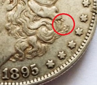 1895-O-Morgan-Dollar.-Real-Or-Fake?-Help