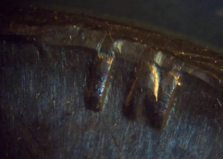 1964-D-LMC-Error-On-OBV-North-Of-In