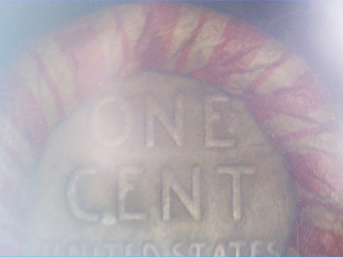Some-Bank-Roll-Finds.