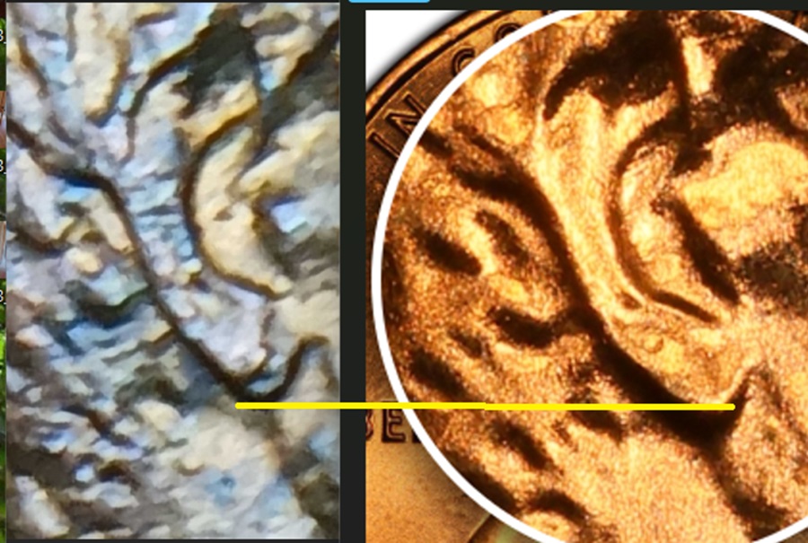 1982-P-Lincoln-Penny-Small-Date-Double-Ear?