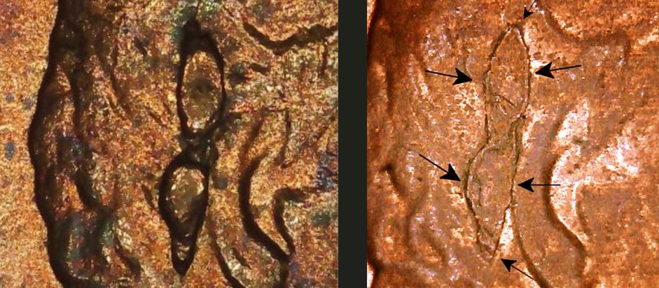 1991-Penny-With-2-Large-Die-Chips-On-Obverse