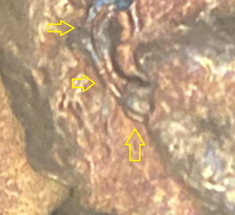 1944-D-Lincoln-Wheat-Cent,-Possible-Weak-RPM?