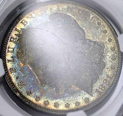 Would-You-Consider-This-Morgan-To-Have-+,-,0-Eye-Appeal?