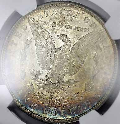 Would-You-Consider-This-Morgan-To-Have-+,-,0-Eye-Appeal?