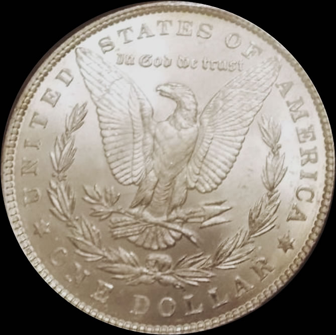 1884-Morgan-From-Ebay
