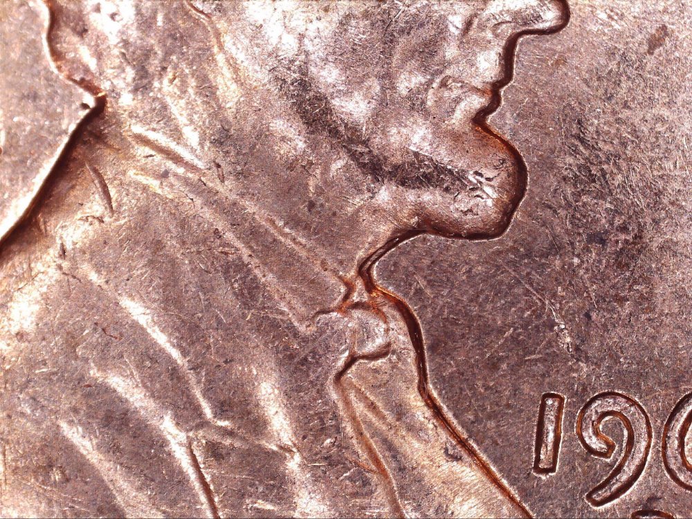 1964-D-With-DD-Or-MD-On-Throat,-Nose-Bridge,-And-Errored-