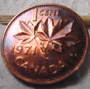 Cool-Canadian-Cent-Roll-Finds-From-Bank-Rolls-Post-Yours!