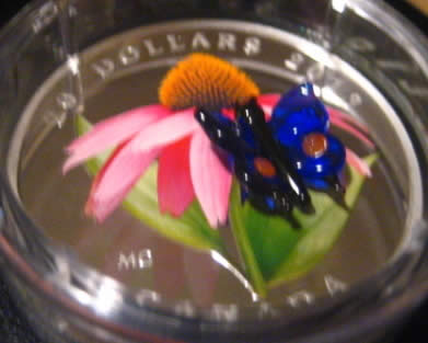 New-Coins---April-Public-Release---Venetian-Glass-Butterfly