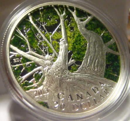 What-About-The-1-Oz....maple-Canopy-Coin