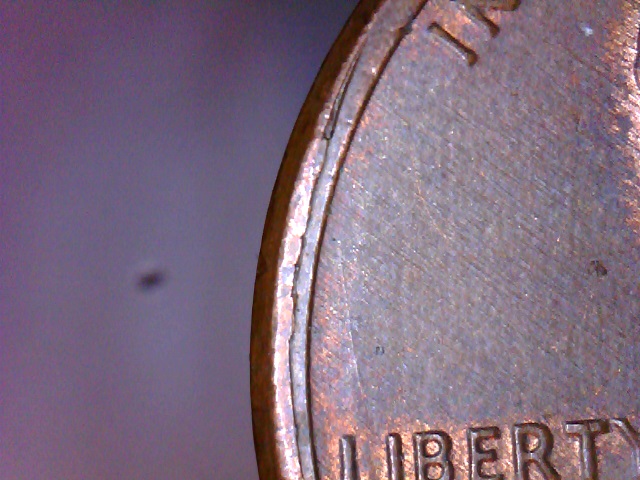 1986-Rim-Error-Caused-By-?