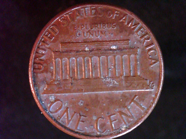 1983--LC-Nice-Cud-And-A-Filled-8