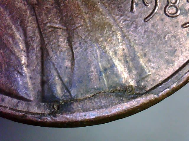 1983-Lc--Lamination,-Rot,-Cud-Or-Combination-Of