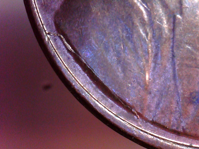 1981--LC--Is-This-A-Retained-Cud-?
